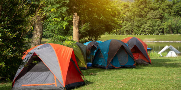 Utilidad de palets en campamentos de verano